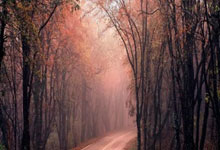 再砍28分8助!几乎一己之力拯救北京首钢,你值得许利民更多信任.