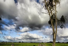 柯丝蒂·考文垂成为国际奥委会首位女性主席央视新闻客户端.