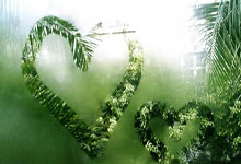 柯丝蒂·考文垂成为国际奥委会首位女性主席央视新闻客户端.