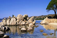 世少赛银球奖马卡卢:我的偶像是贝林厄姆.